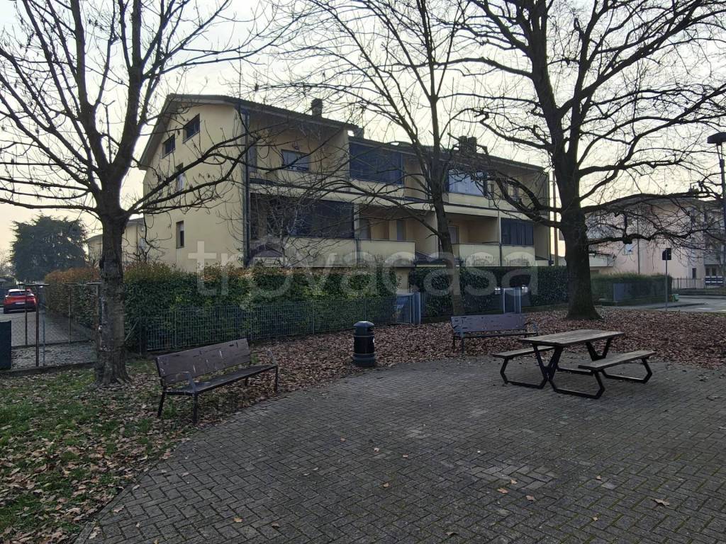 immagine annuncio 12 di 13