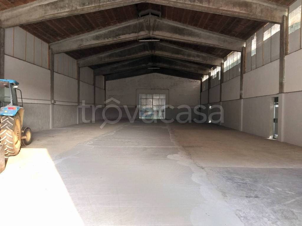 immagine annuncio 1 di 6