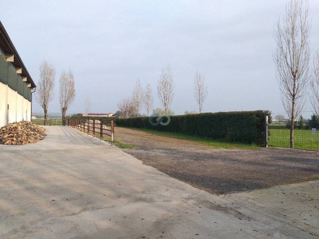 immagine annuncio 2 di 6