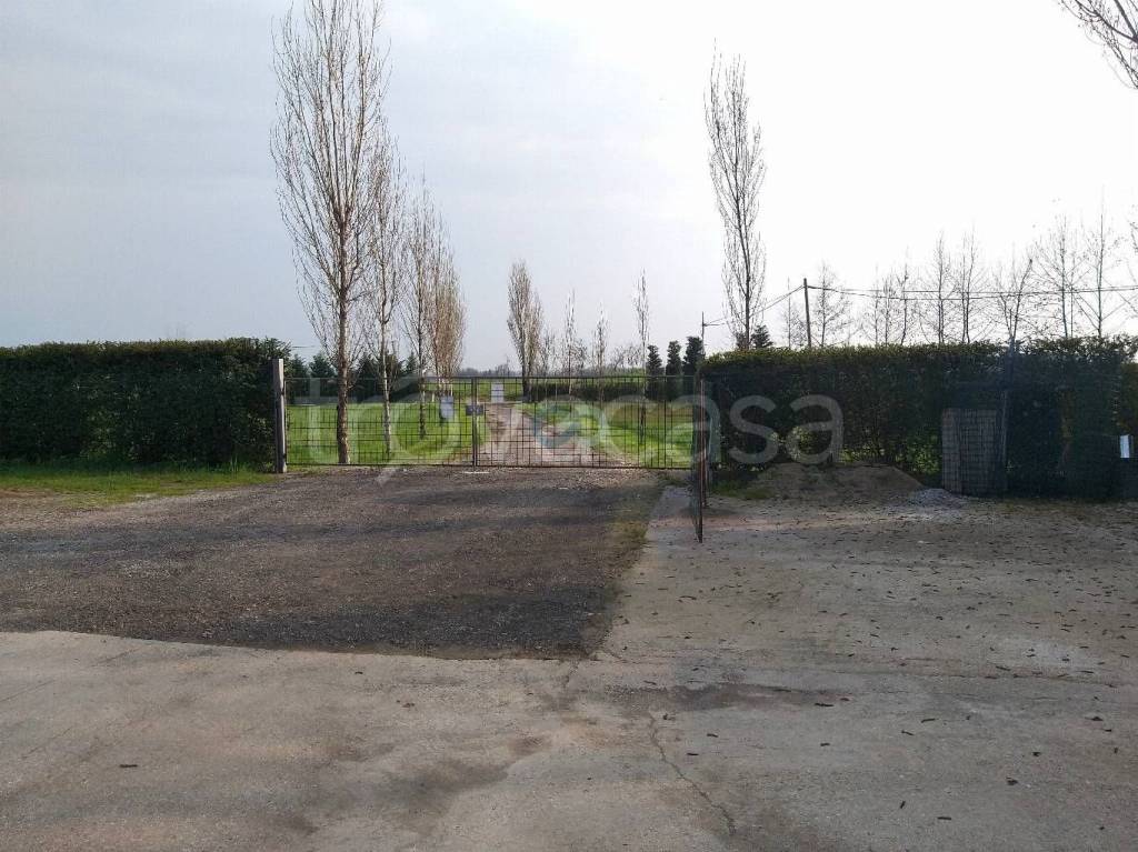 immagine annuncio 3 di 6