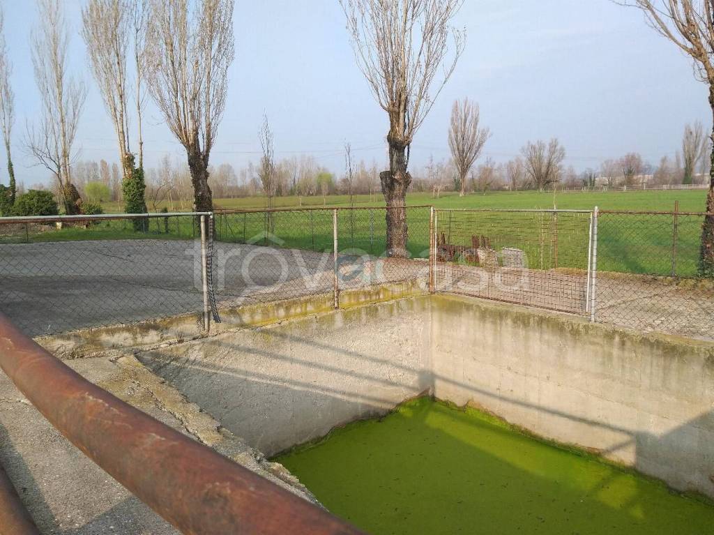 immagine annuncio 5 di 6