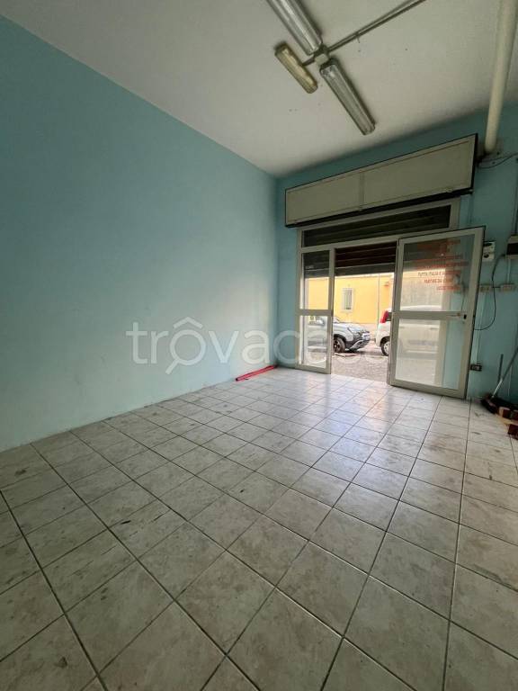 immagine annuncio 3 di 14