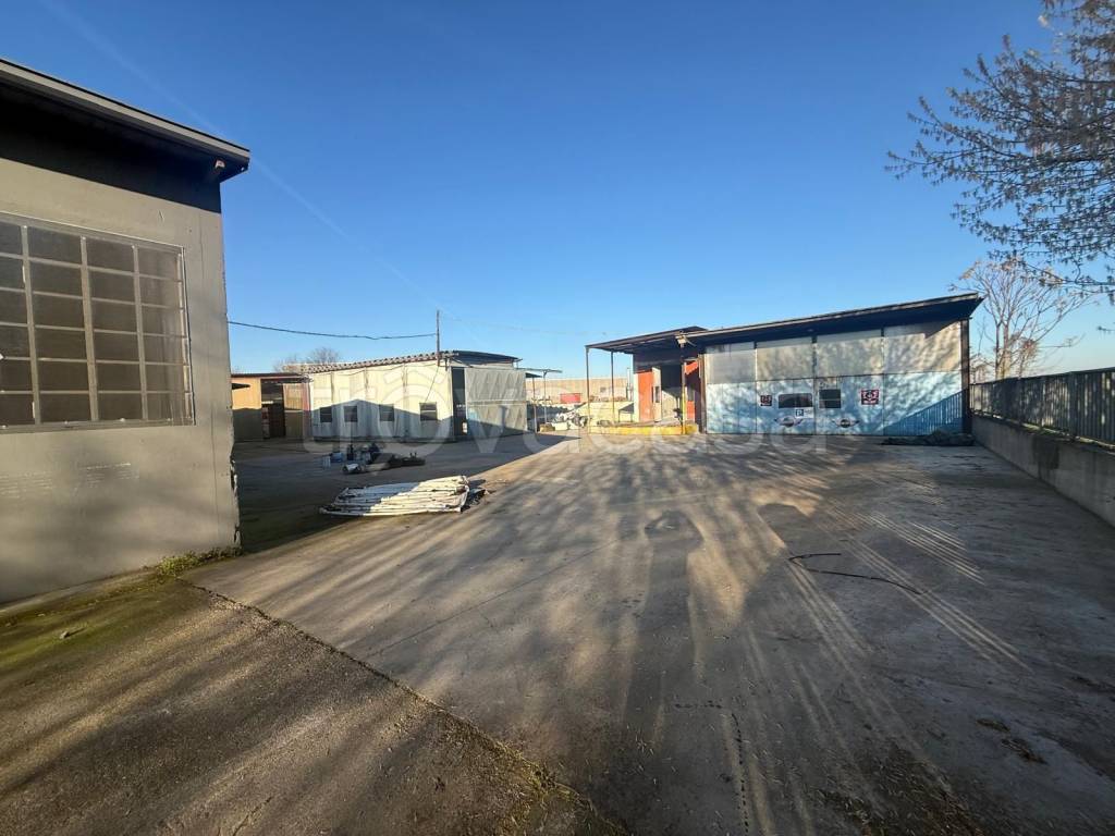 immagine annuncio 2 di 15