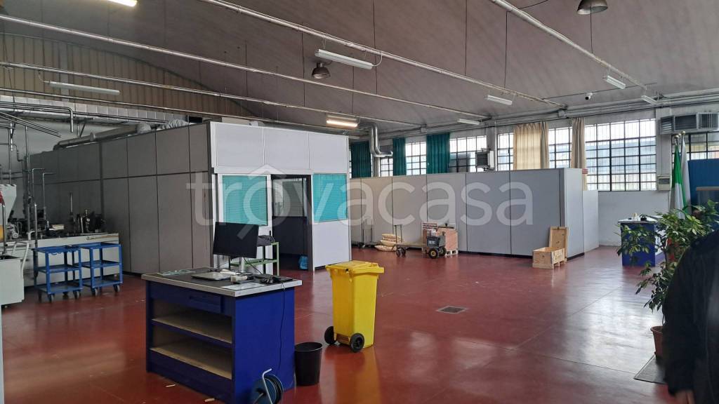 immagine annuncio 7 di 15