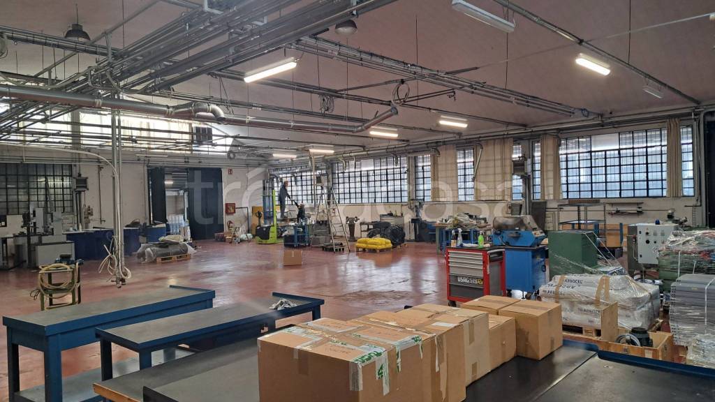 immagine annuncio 11 di 15