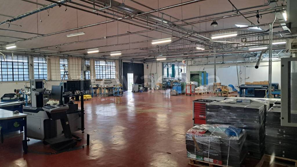 immagine annuncio 12 di 15