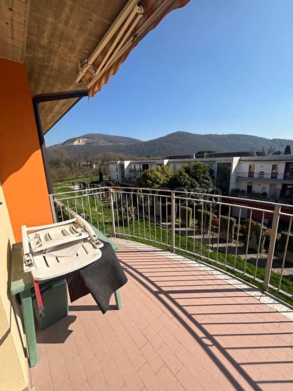 immagine annuncio 4 di 12