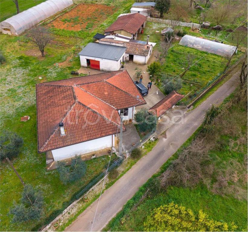 immagine annuncio 12 di 13