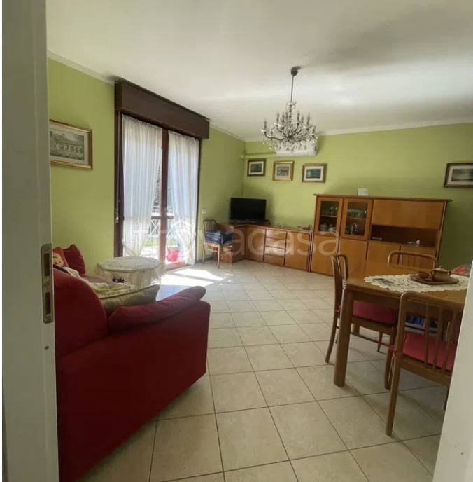 immagine annuncio 3 di 12