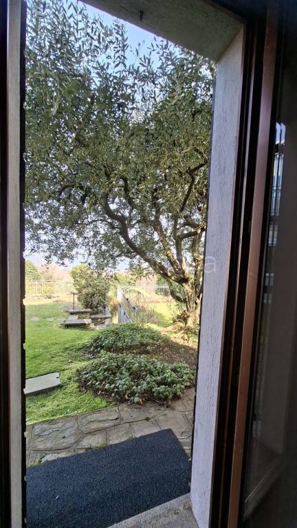 immagine annuncio 3 di 6