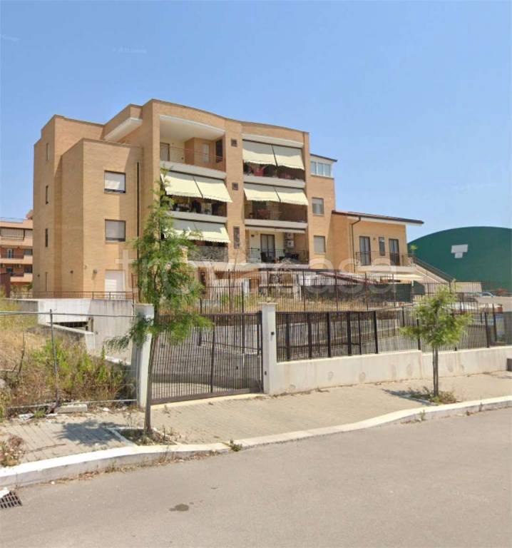 immagine annuncio 12 di 13