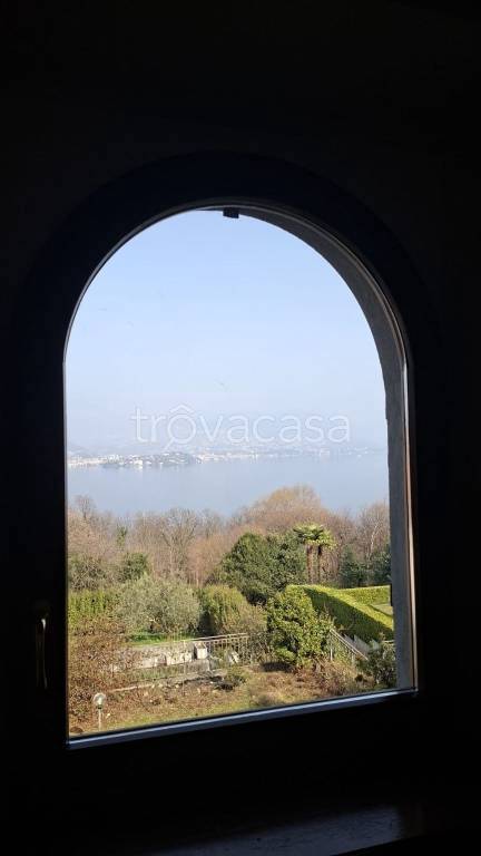 immagine annuncio 5 di 6