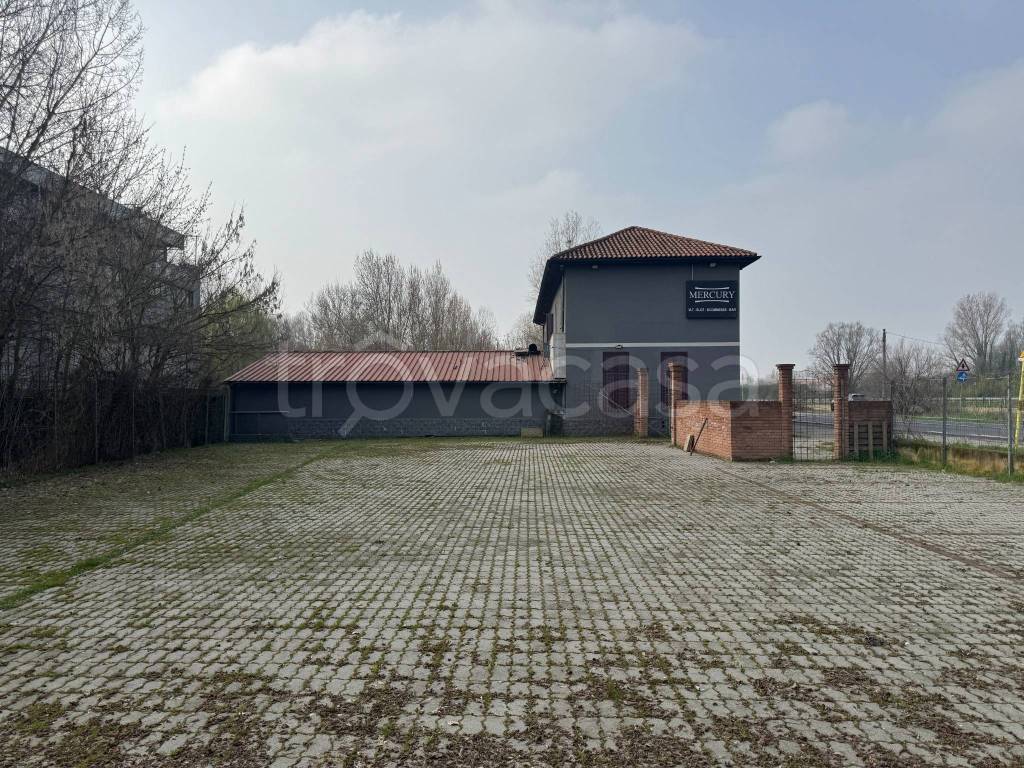 immagine annuncio 7 di 15