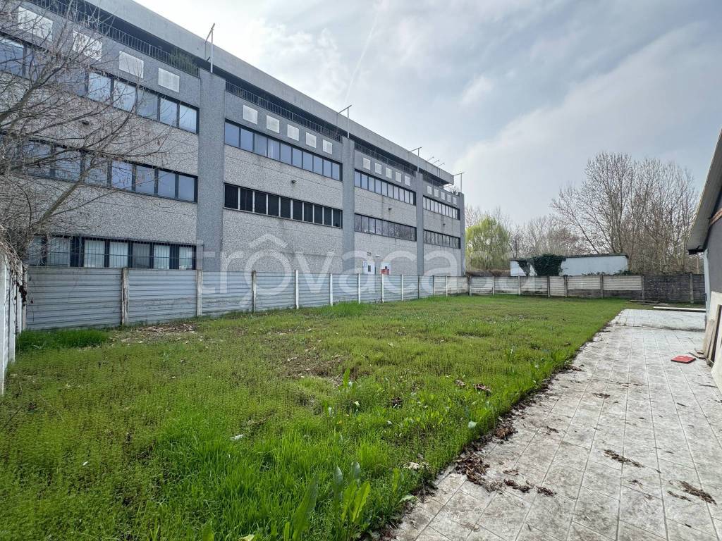 immagine annuncio 10 di 15