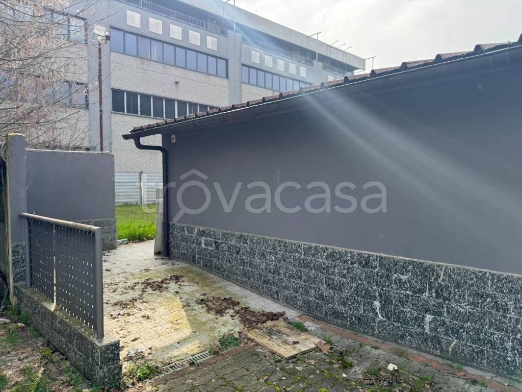 immagine annuncio 9 di 15