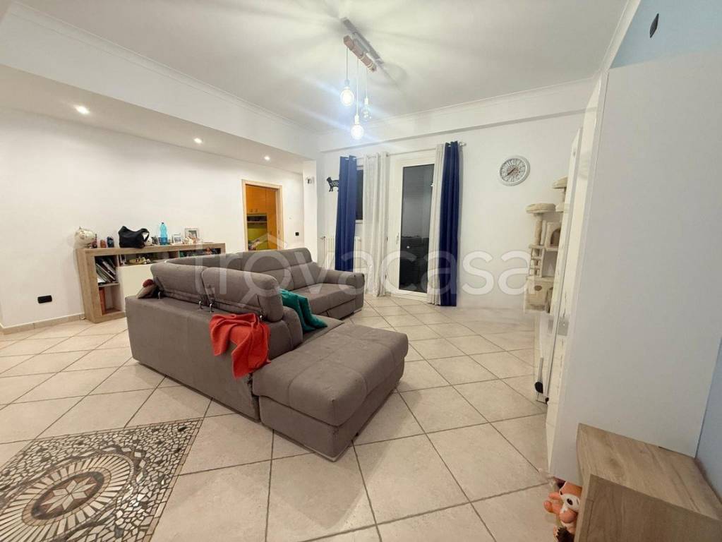 immagine annuncio 3 di 14