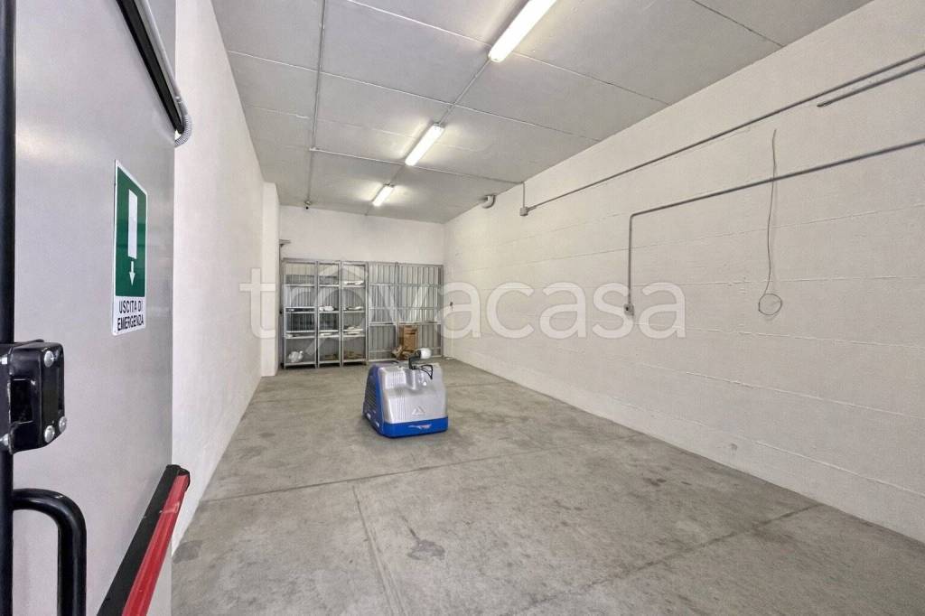 immagine annuncio 12 di 13