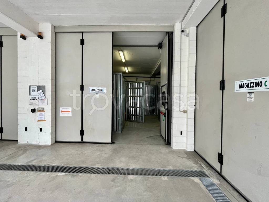 immagine annuncio 9 di 13