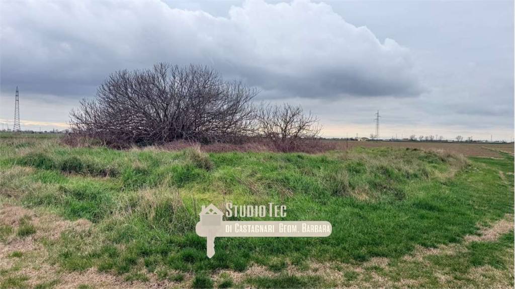 immagine annuncio 3 di 4