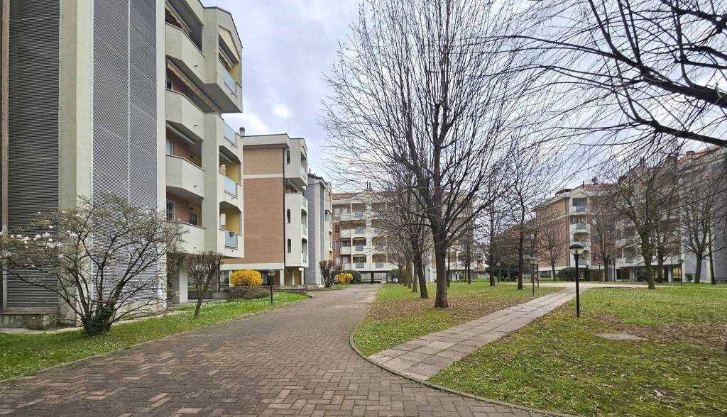 immagine annuncio 7 di 15