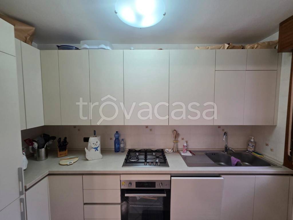 immagine annuncio 7 di 14