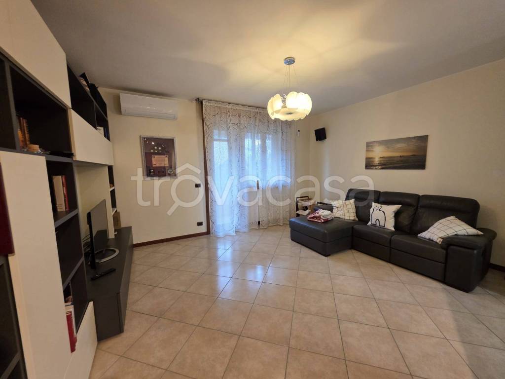 immagine annuncio 9 di 14