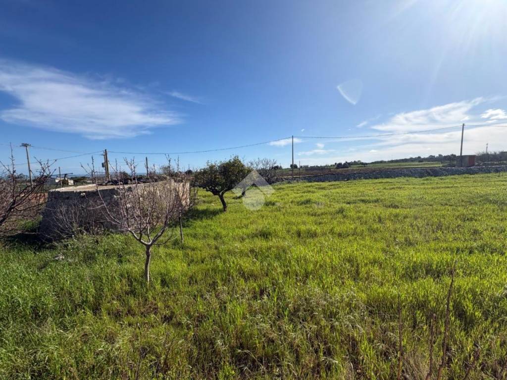 immagine annuncio 4 di 9