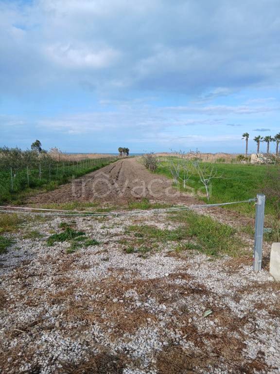 immagine annuncio 1 di 3