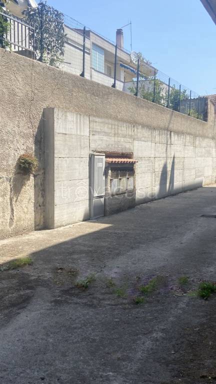 immagine annuncio 3 di 8