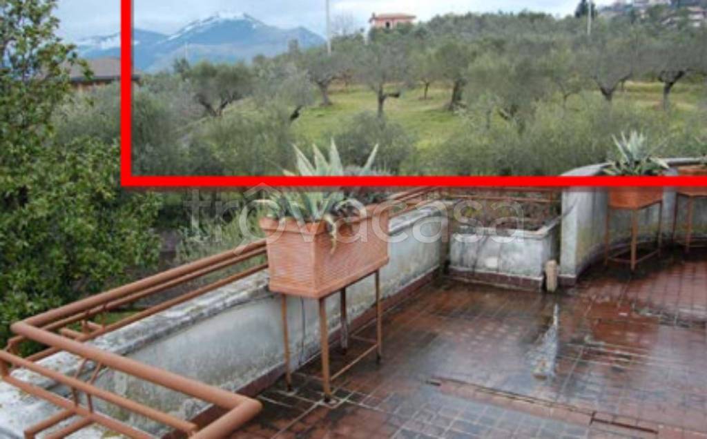 immagine annuncio 5 di 11