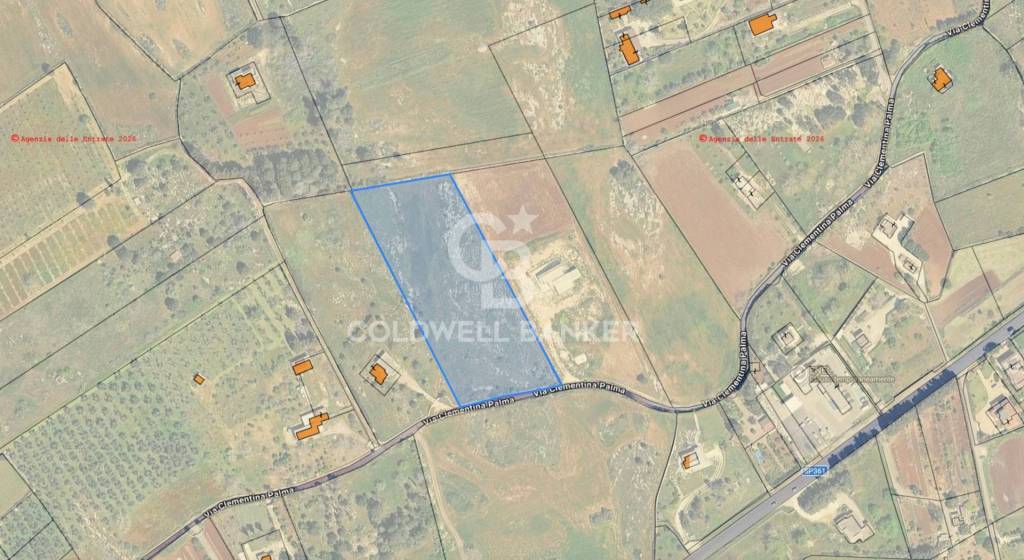 immagine annuncio 2 di 10