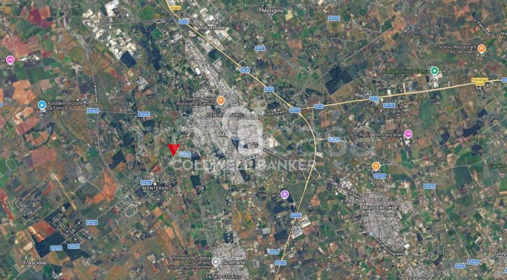 immagine annuncio 9 di 10