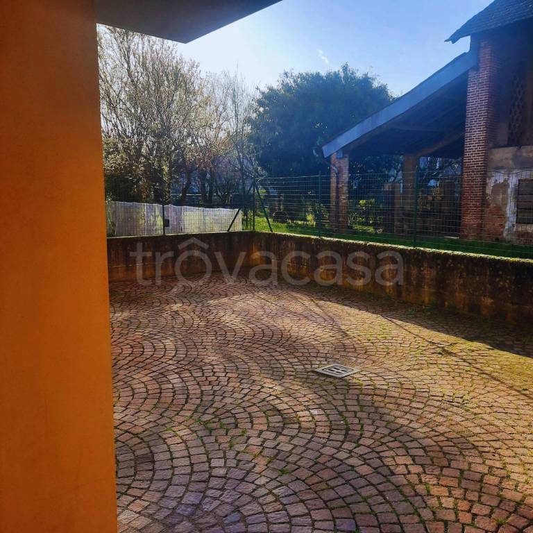 immagine annuncio 11 di 12