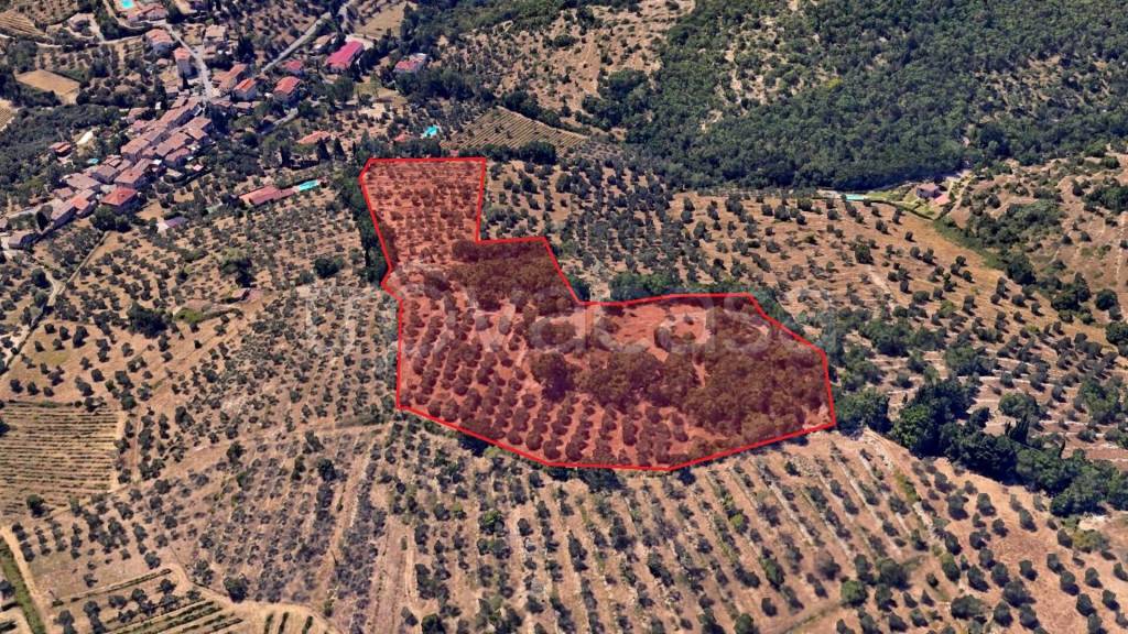 immagine annuncio 3 di 8