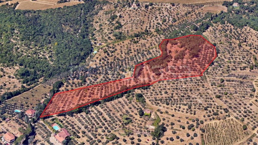 immagine annuncio 4 di 8