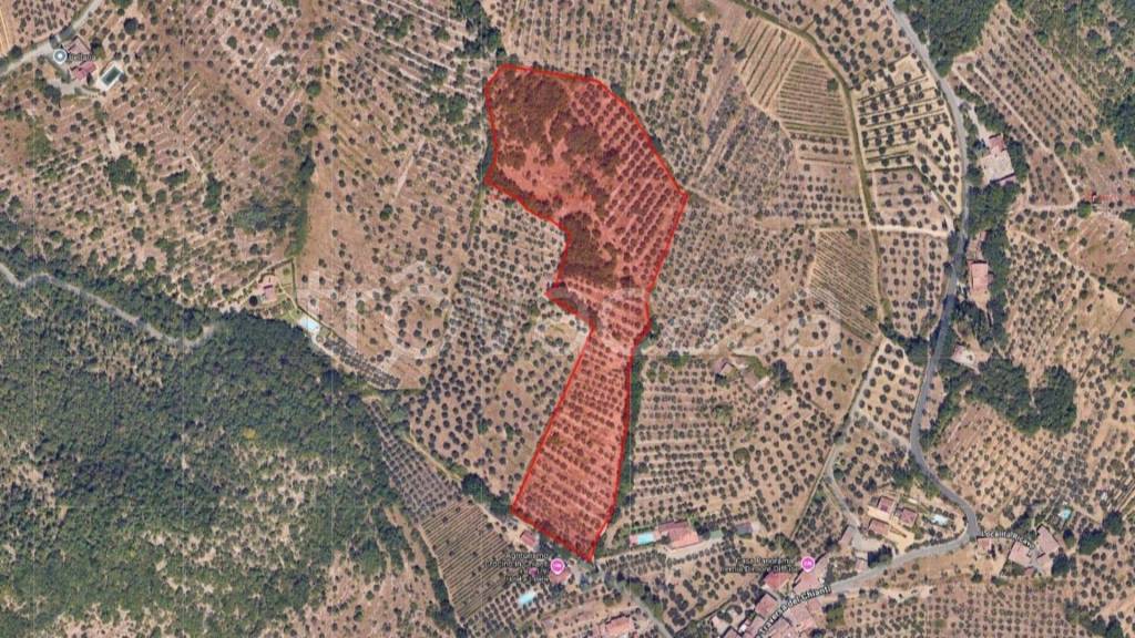 immagine annuncio 5 di 8