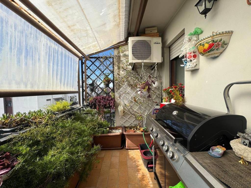 immagine annuncio 13 di 15