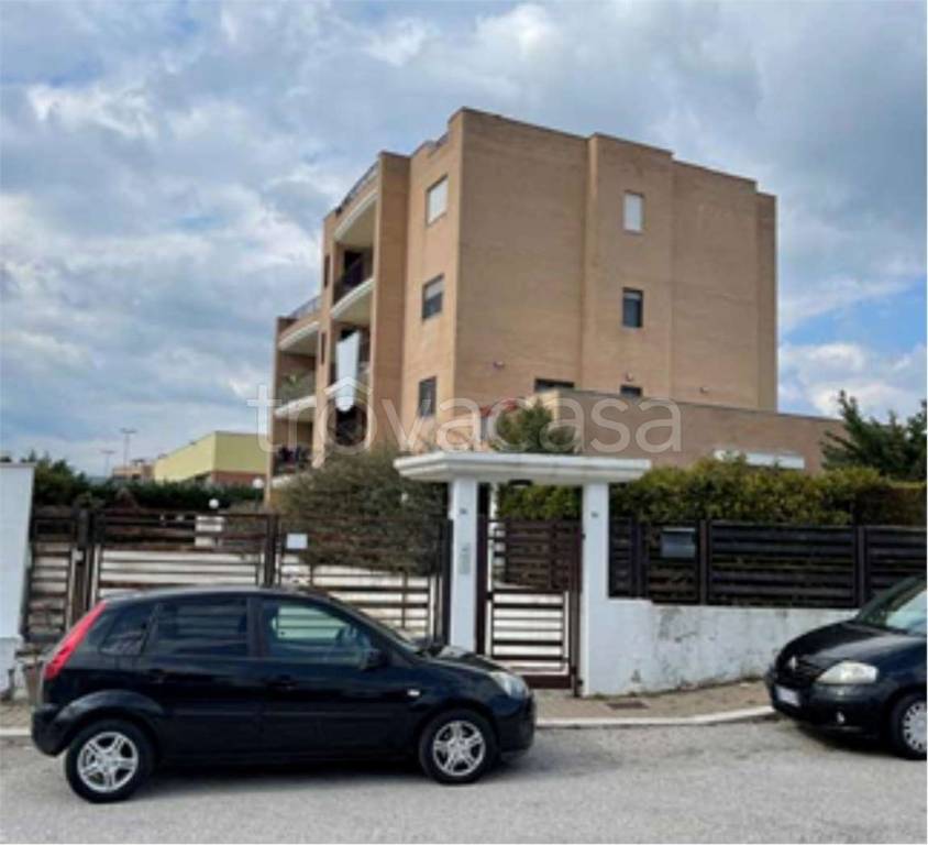 immagine annuncio 1 di 13