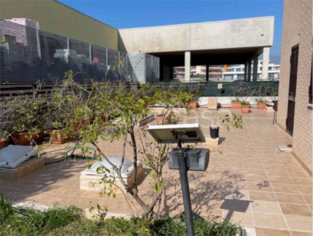 immagine annuncio 7 di 13