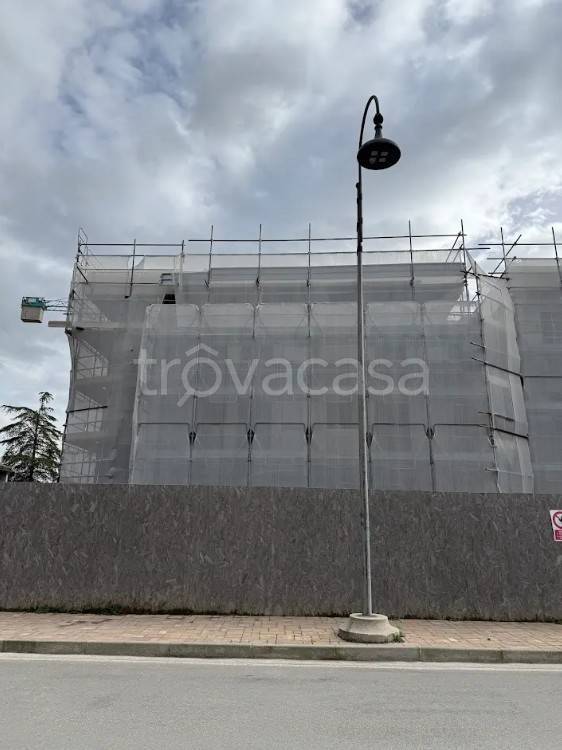 immagine annuncio 5 di 14