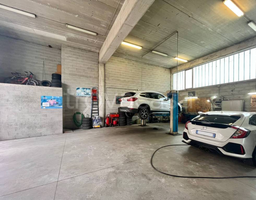 immagine annuncio 12 di 13