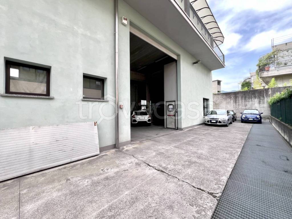 immagine annuncio 6 di 13