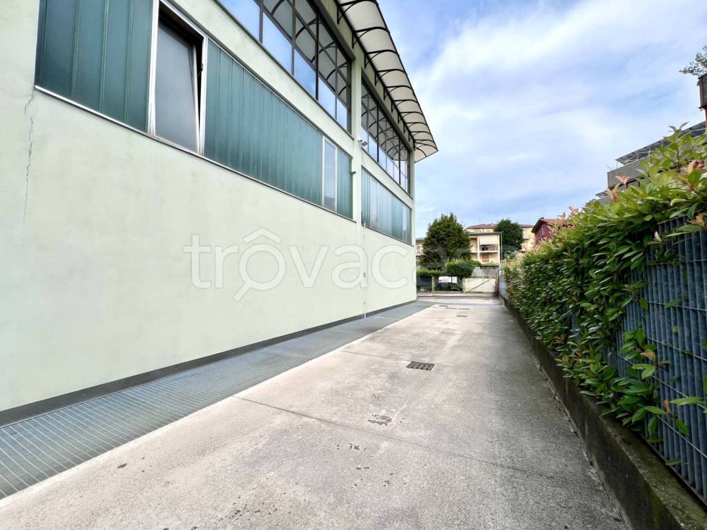 immagine annuncio 9 di 13