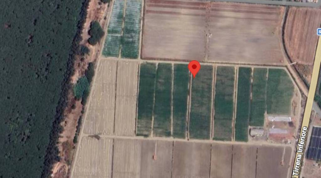 immagine annuncio 1 di 11