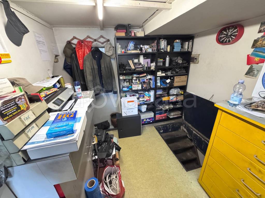 immagine annuncio 11 di 15