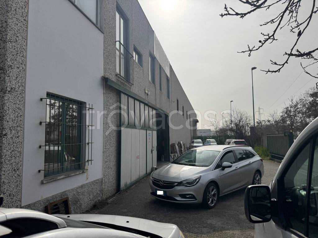 immagine annuncio 1 di 13