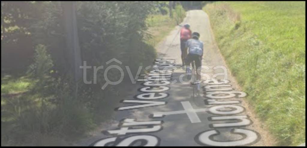 immagine annuncio 8 di 12