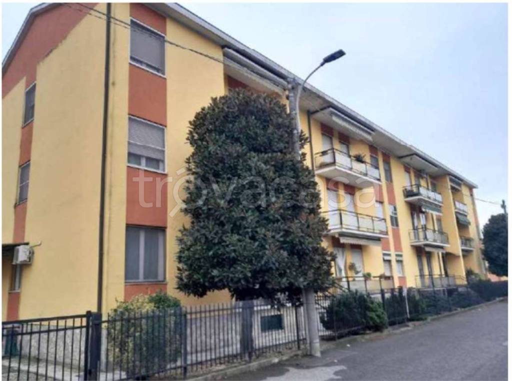 immagine annuncio 2 di 12