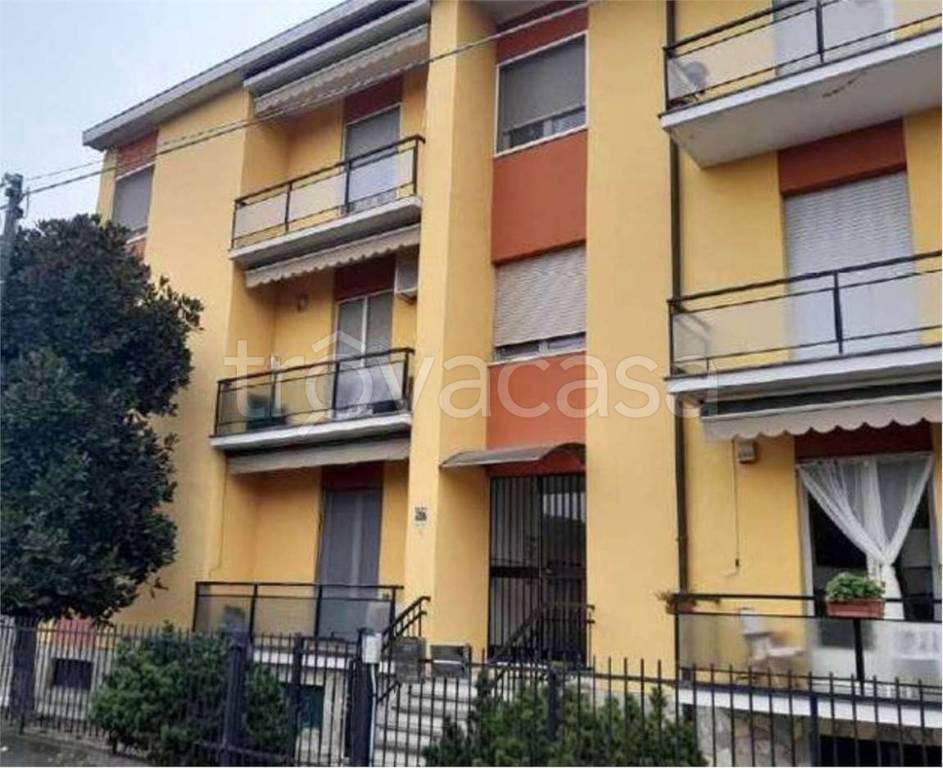 immagine annuncio 4 di 12