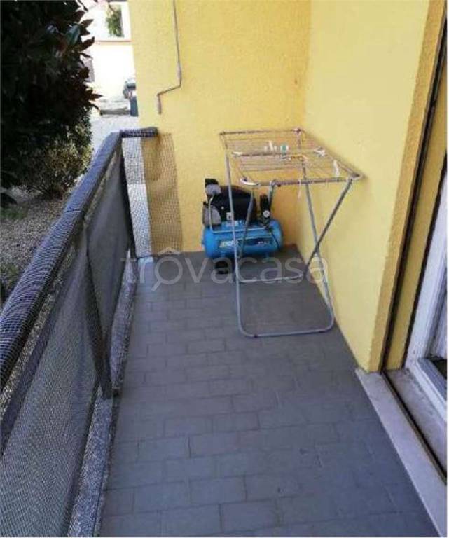 immagine annuncio 5 di 12